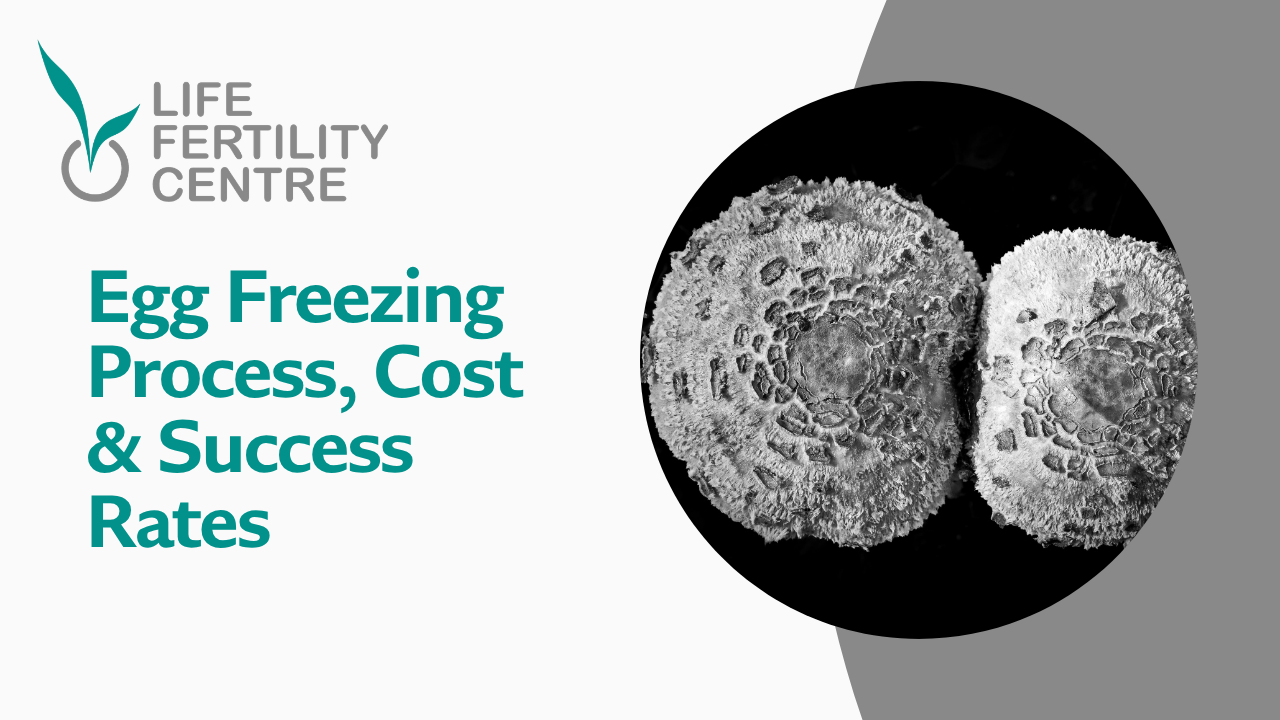 Egg Freezing at Life Fertility Centre Mumbai: Process, Cost & Success Rates