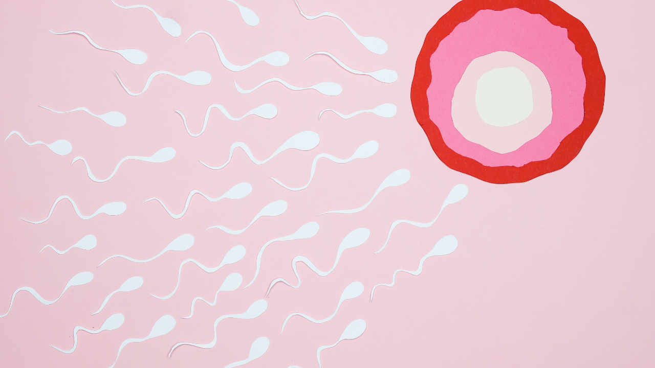 Sperm Freezing at Life Fertility Centre Mumbai
