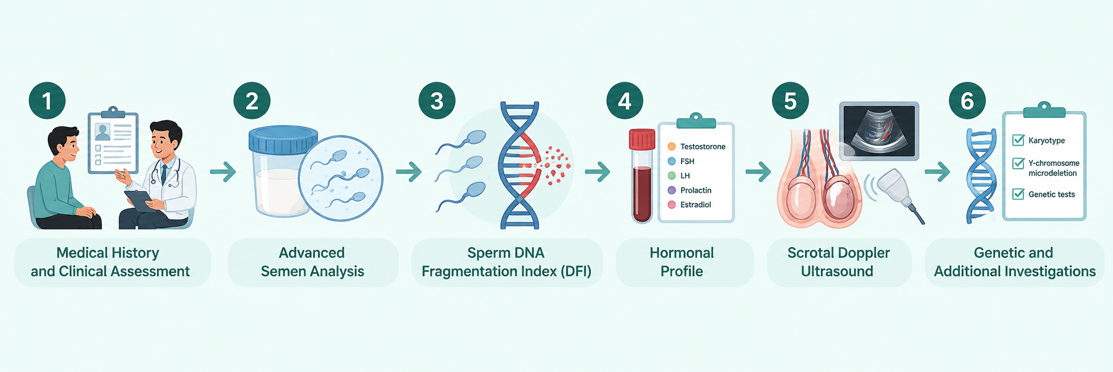 Steps of male infertility evaluation and diagnosis